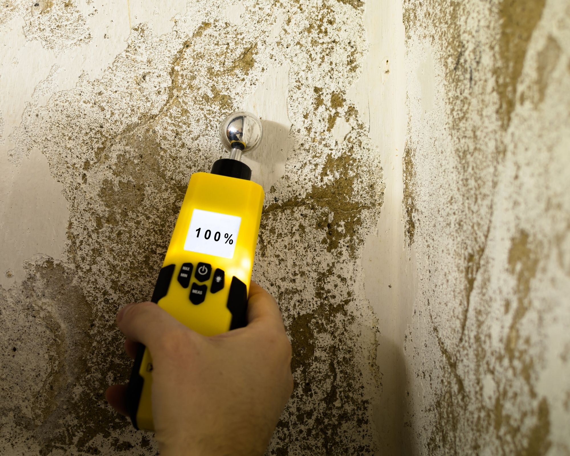 Expert en bâtiment Val-de-Marne 94 expertise humidité Expert en bâtiment Val-de-Marne 94 expertise humidité